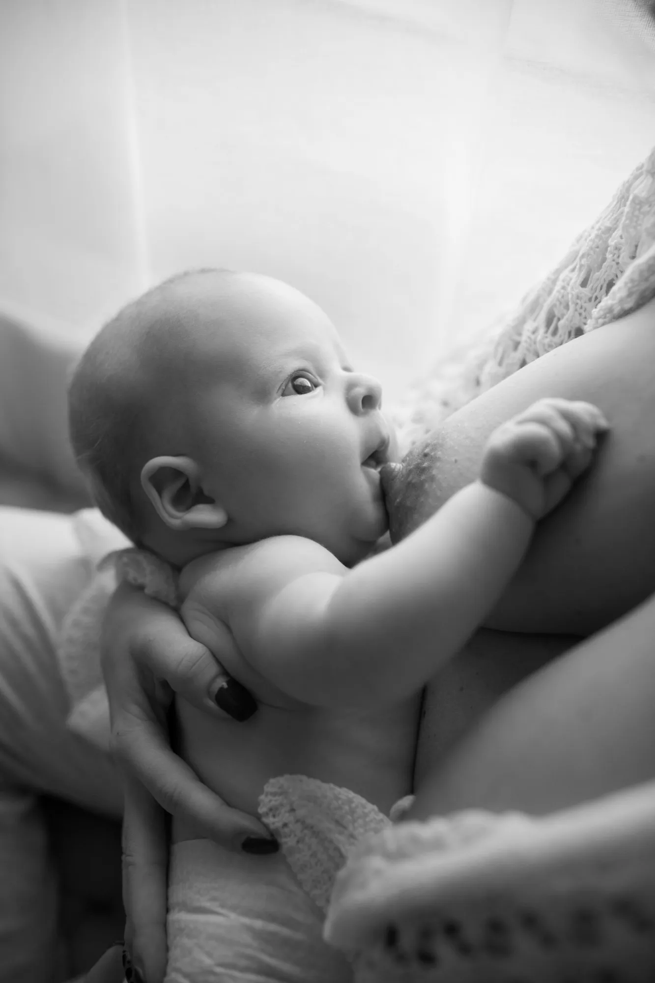 Allaitement — Amélie Photographie